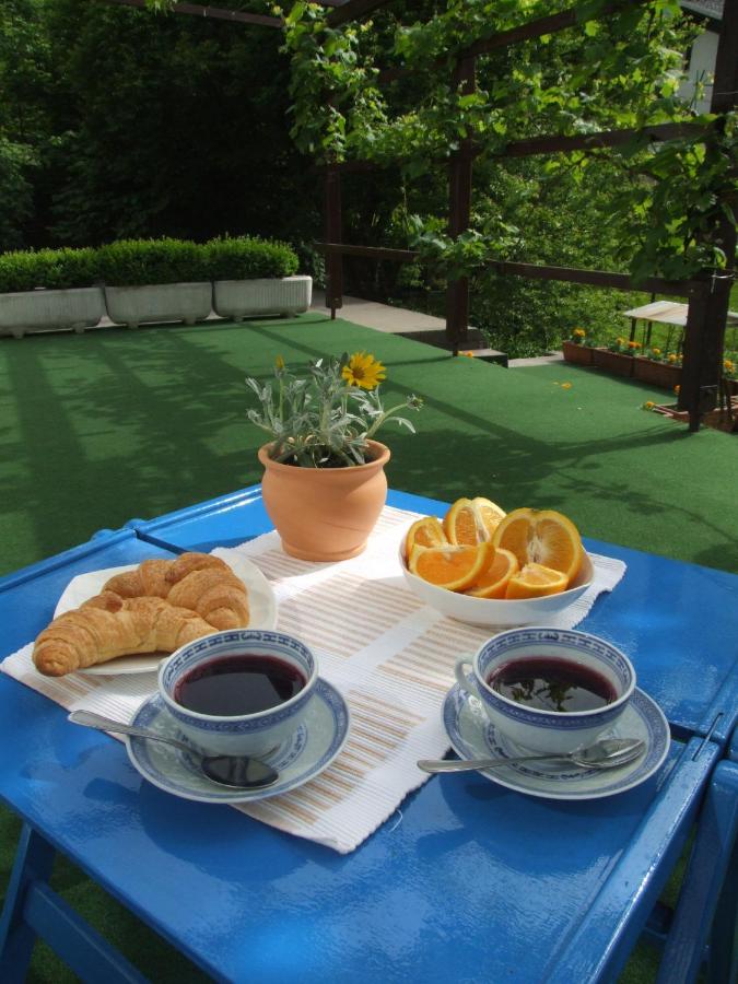 Apartment Mlinarjeva domačija - Ferienwohnung Kobarid