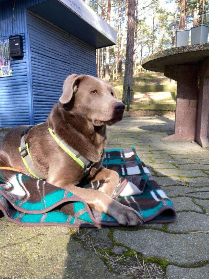 Finndorf am Strand mit Hund - Ferienwohnung
