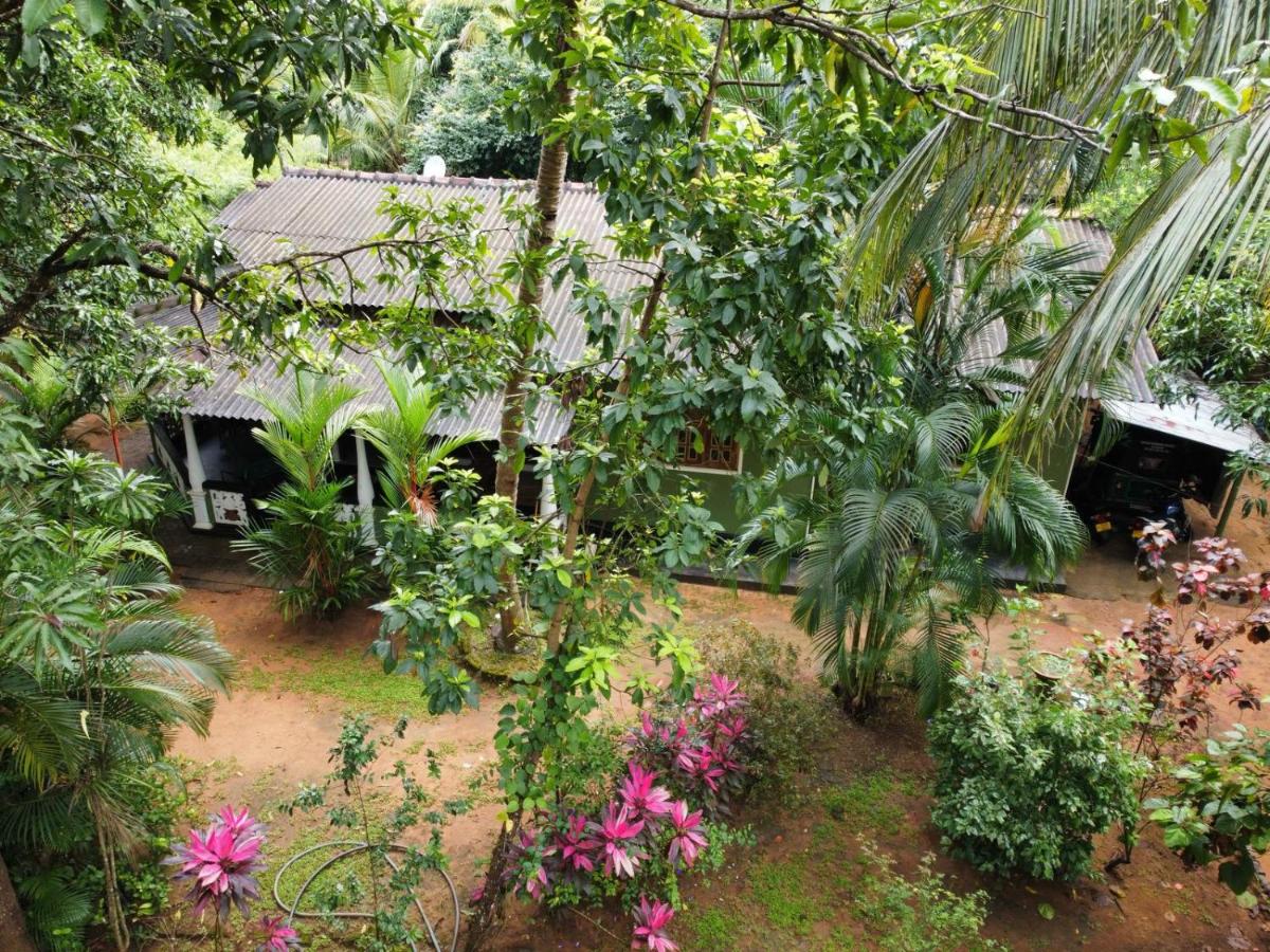 Green Bamboo House - B&B