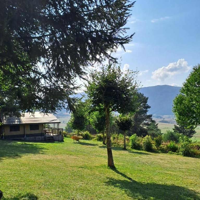 grote lodge safaritent 4 - B&B