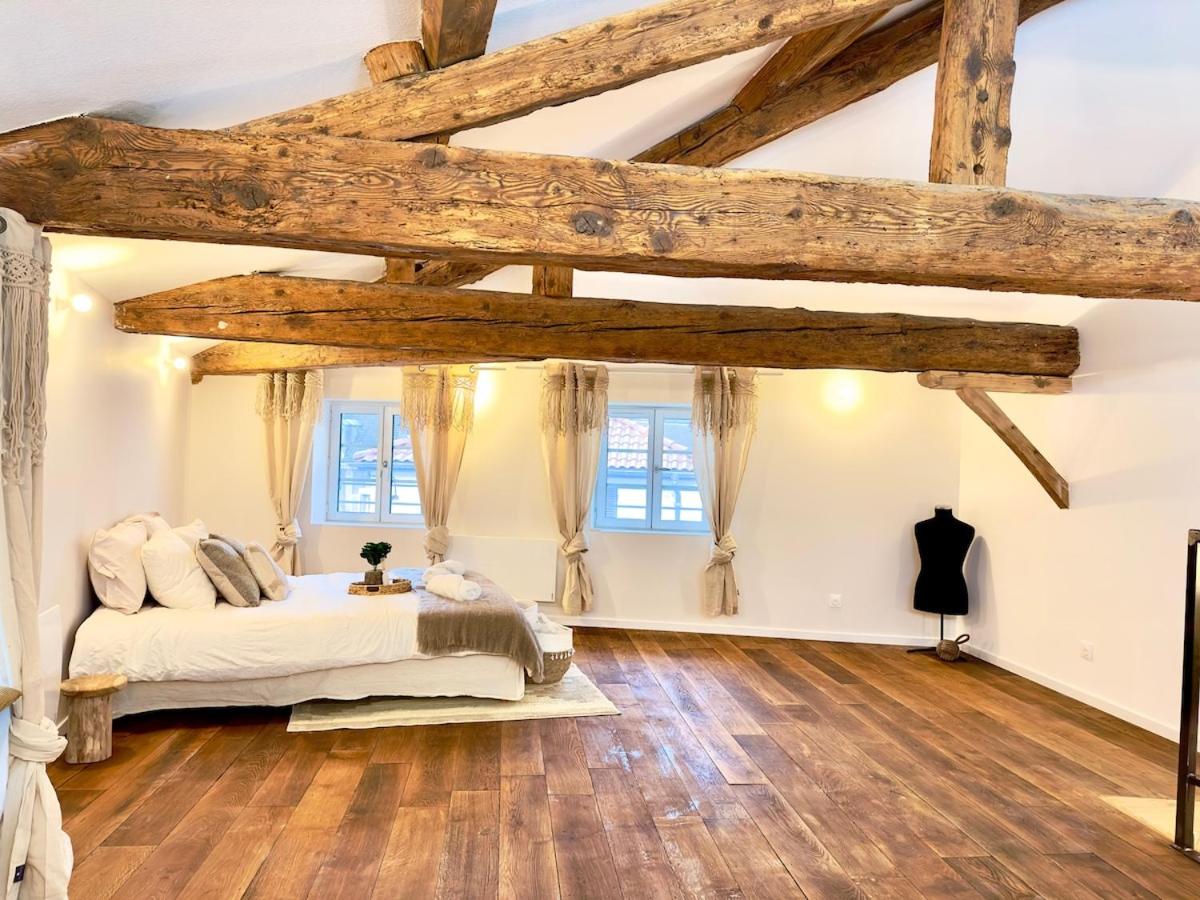 LE LOFT, 85m2, Hyper-centre - B&B Mâcon