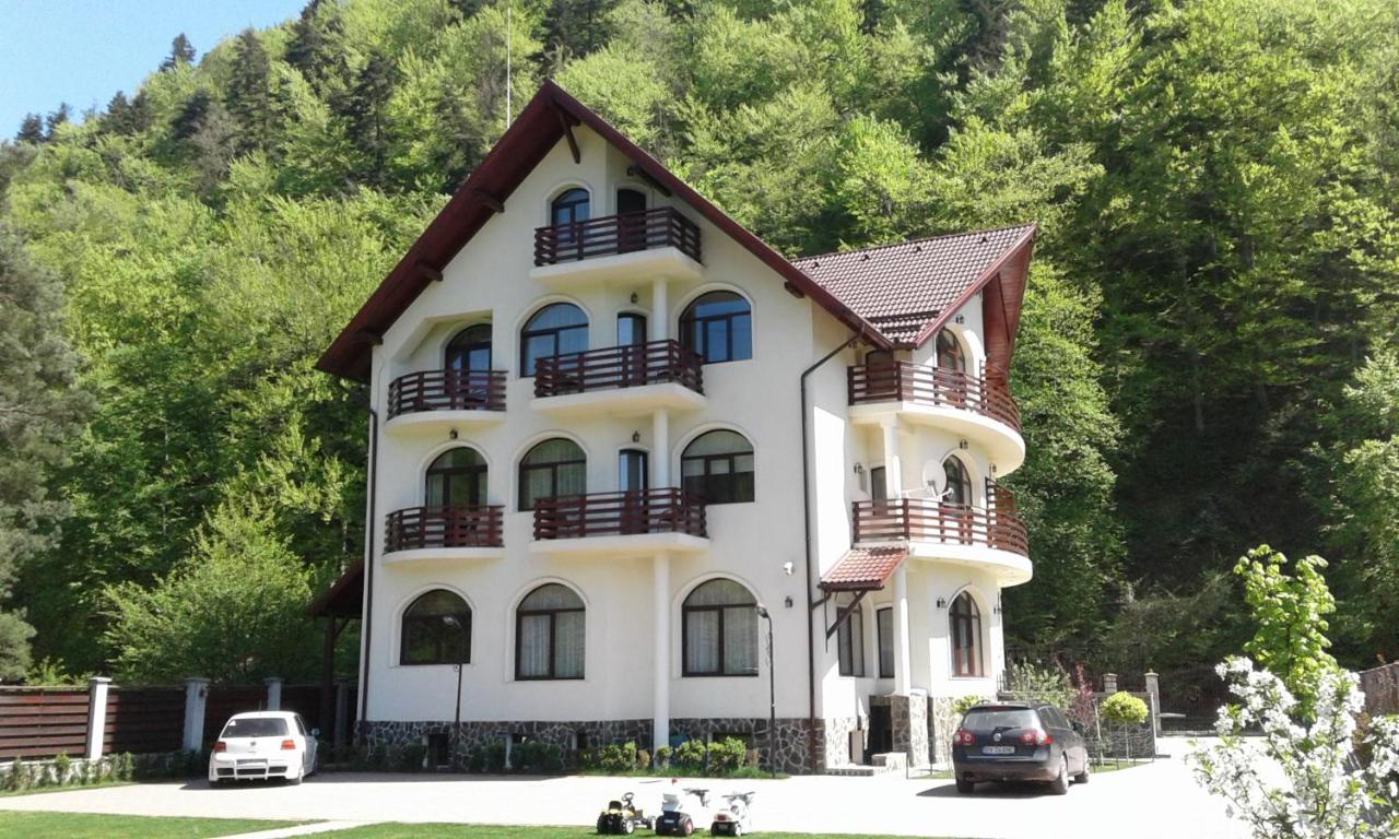 B&B Brasov - Vila A&N - Bed and Breakfast Brasov