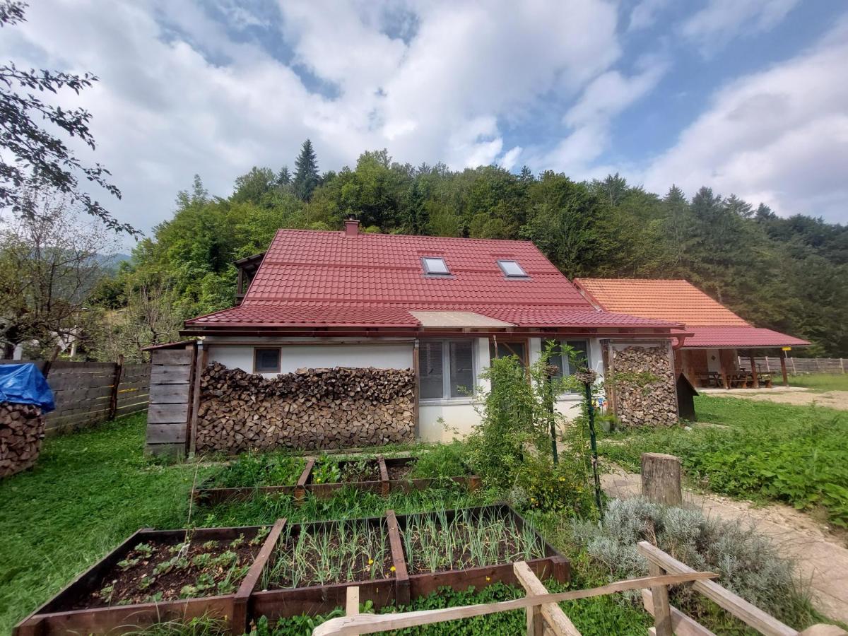 Apartman pri Kupi - Ferienwohnung
