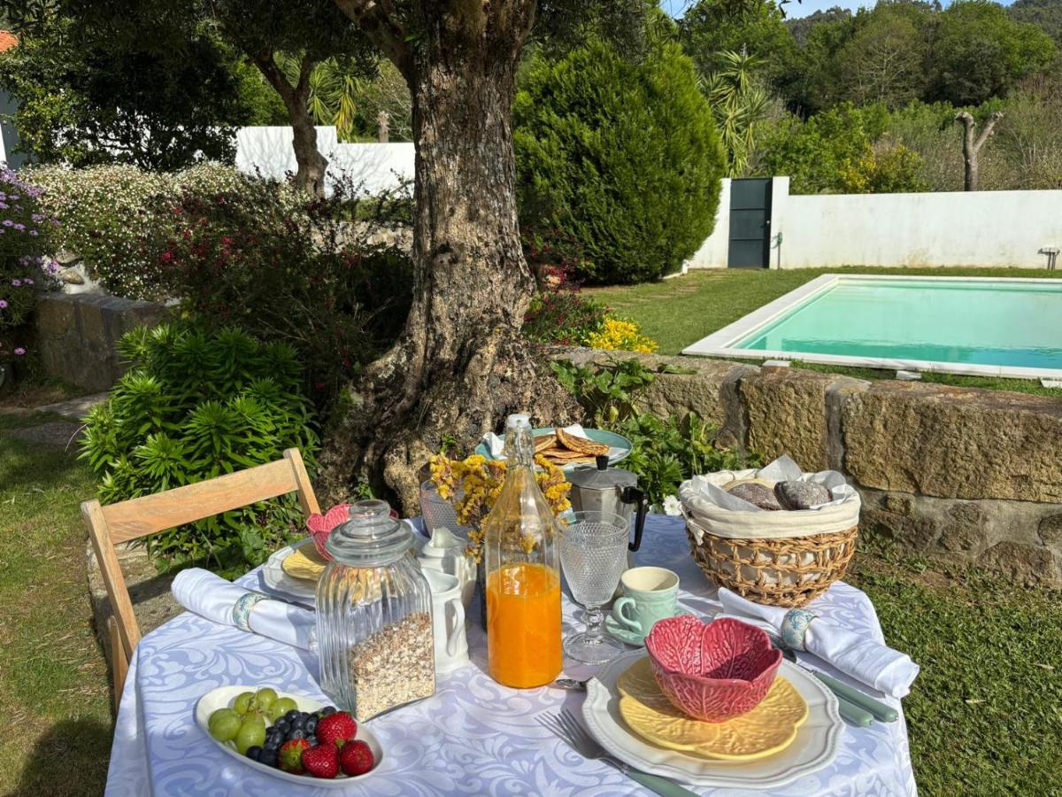 Serra da Freita Concept House - B&B