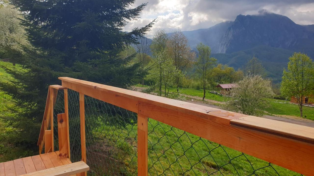 Mountain View 2 - B&B