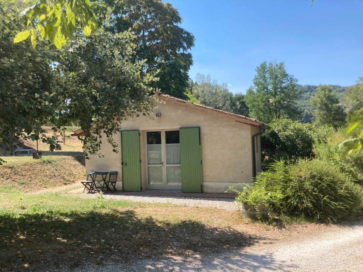 Studio Appartement