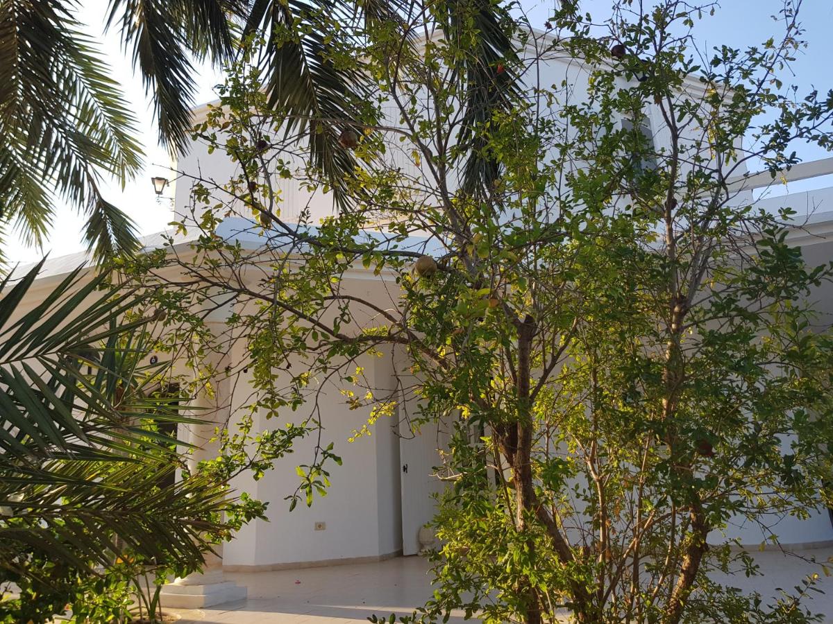 Dar 'Villa Blanche' - B&B