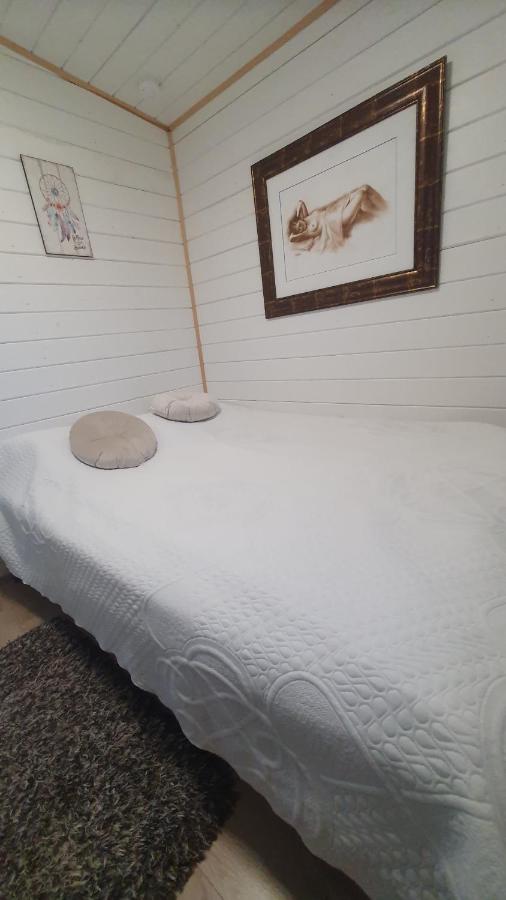 Forest relax near Oradea -pet friendly - B&B