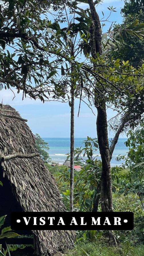 Pacific Dream Eco-Hostal - B&B