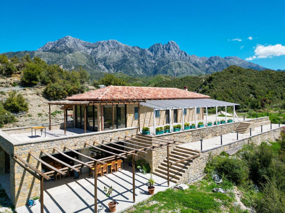 Guest house Tozaj - B&B