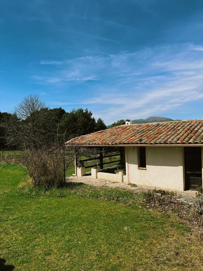 La Bastide des Pins - B&B
