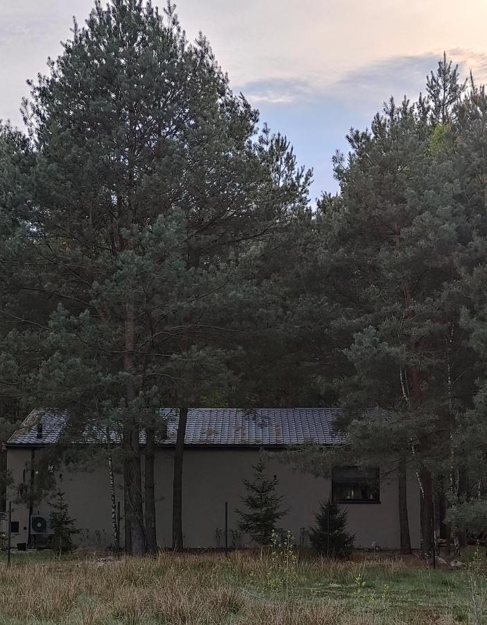 Las Dziki - B&B Kwilno