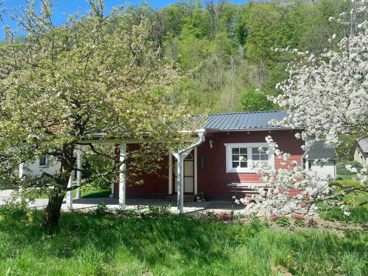 Ferienhaus am Wald - B&B
