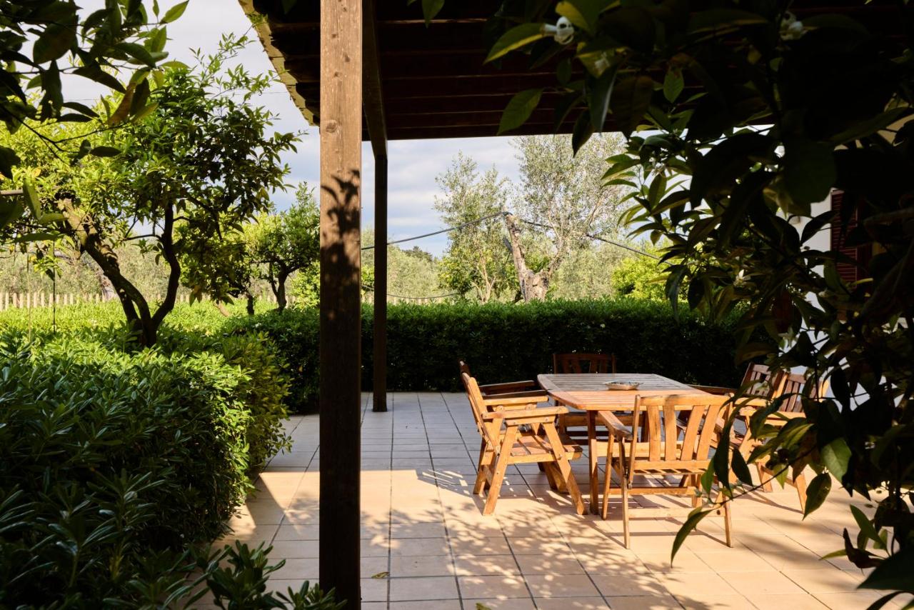 Villetta degli Ulivi - B&B Alezio