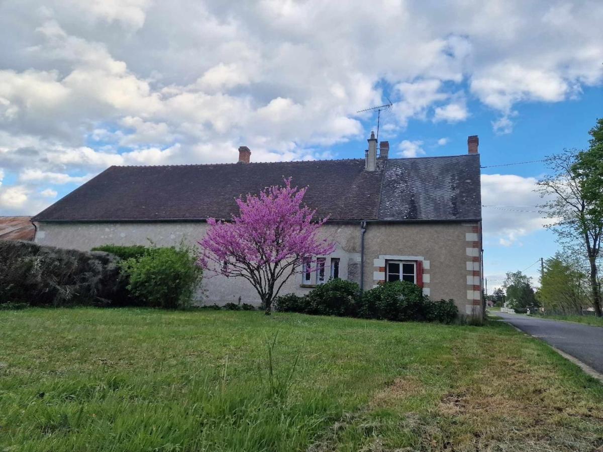 Gite proche de Beauval Zoo et des Chateaux - B&B Châtillon-sur-Cher