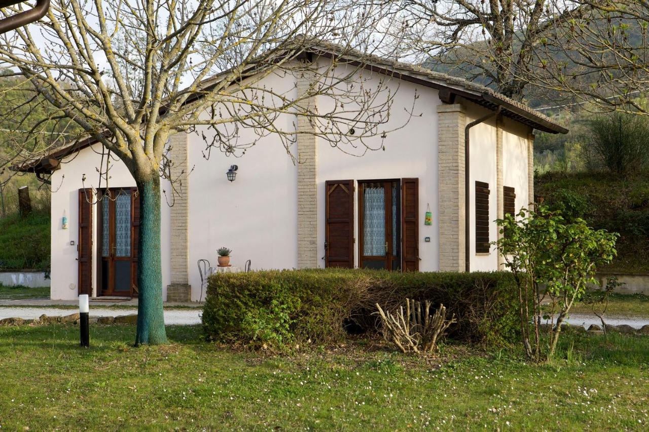 Agriturismo La Castellana - B&B Assisi