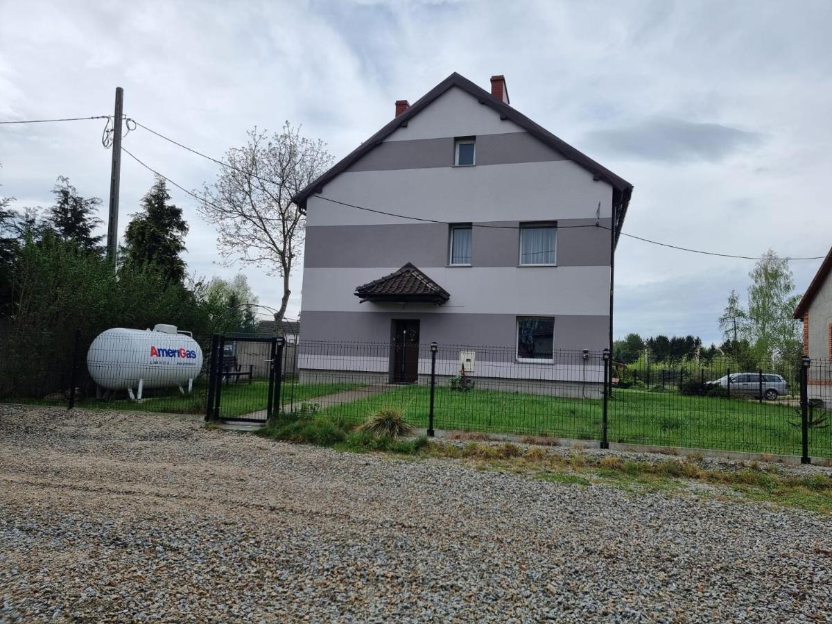 Orzechowy Dom - B&B