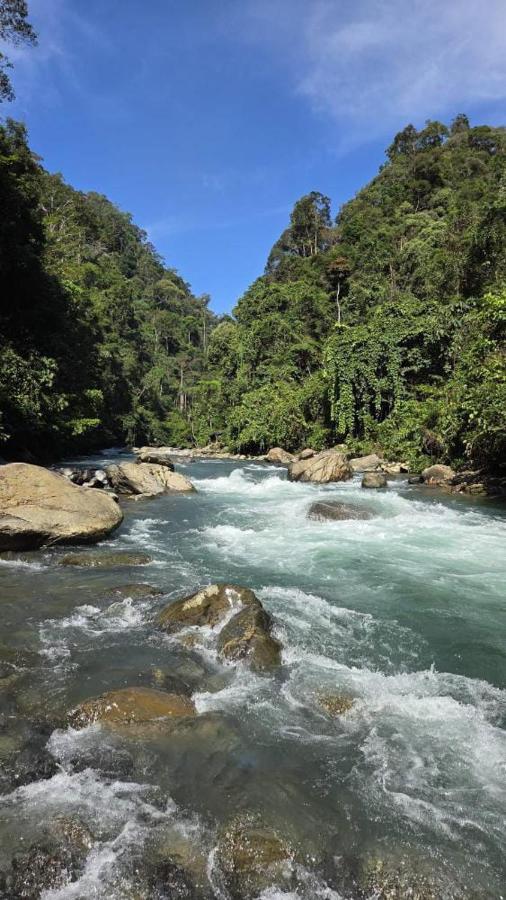 Explore Sumatra's WONDERS - B&B Bukit Lewang