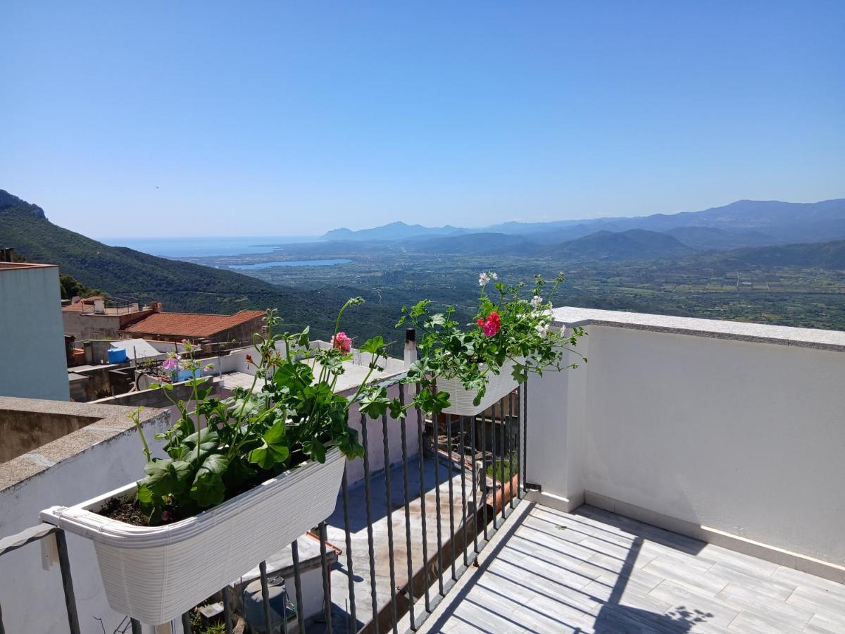 Monte Longu - Bed and Breakfast Baunei