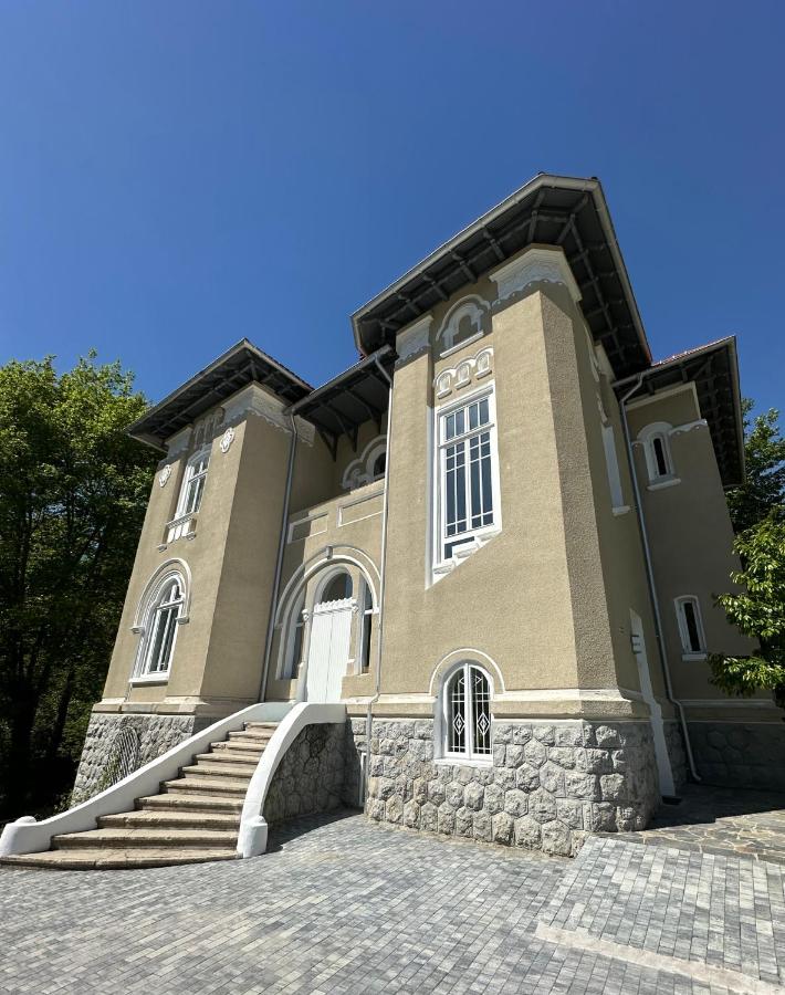 Vila Doctor Popovici - Chambres d’hôtes Prajila