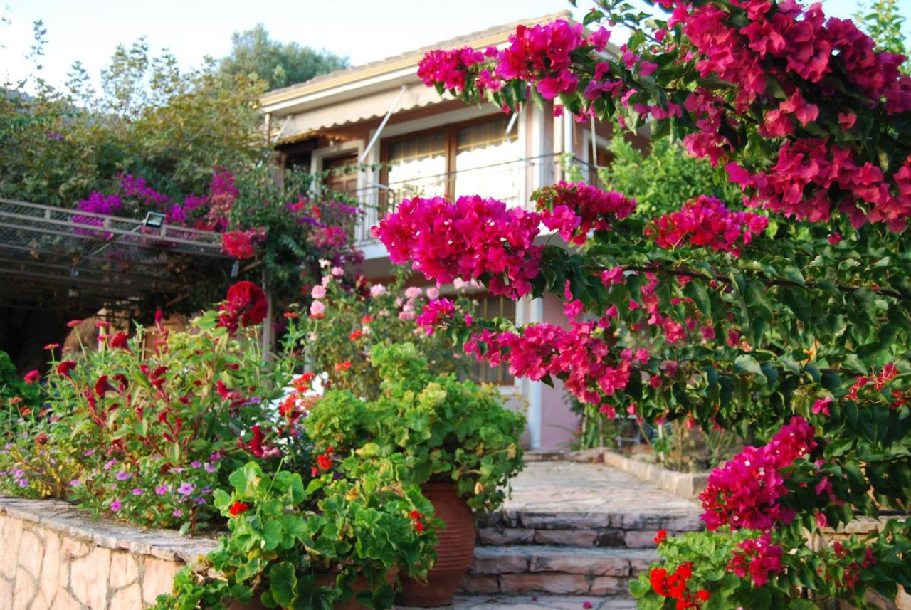 Villa Niki - Ferienwohnung Platariá