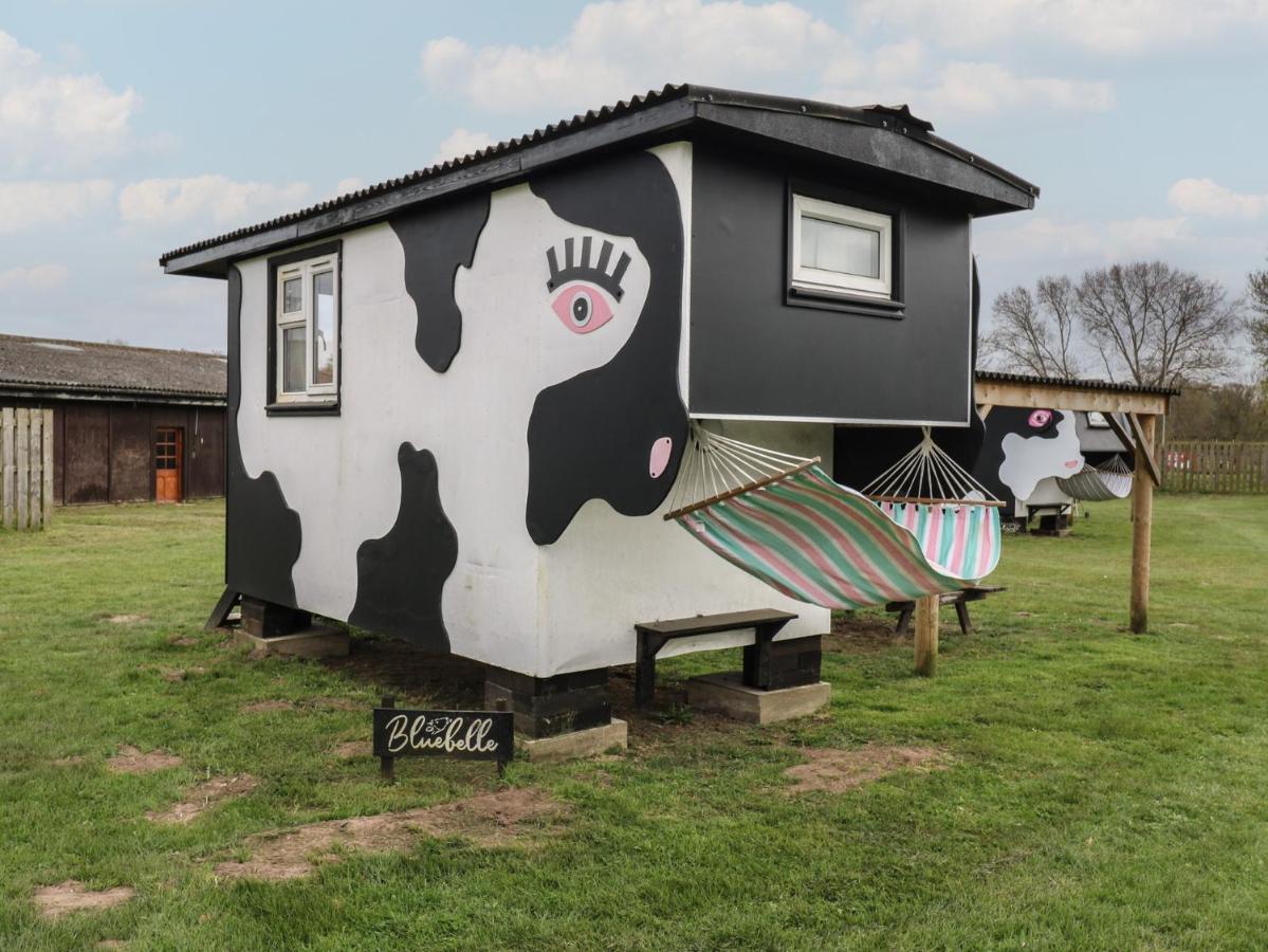 Bluebelle Cow Shed 5 - B&B Woodbridge