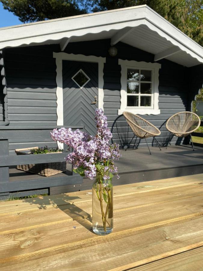 Blockhütte - Bed and Breakfast
