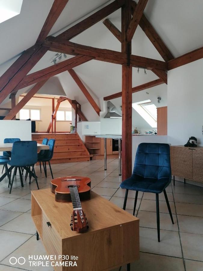 Le Bretzel - Ferienwohnung Zillisheim