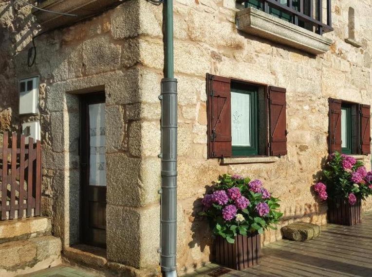 CASA do REMO - B&B Palmeira