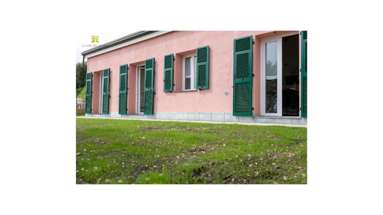 La casa tra gli ulivi - Bed and Breakfast