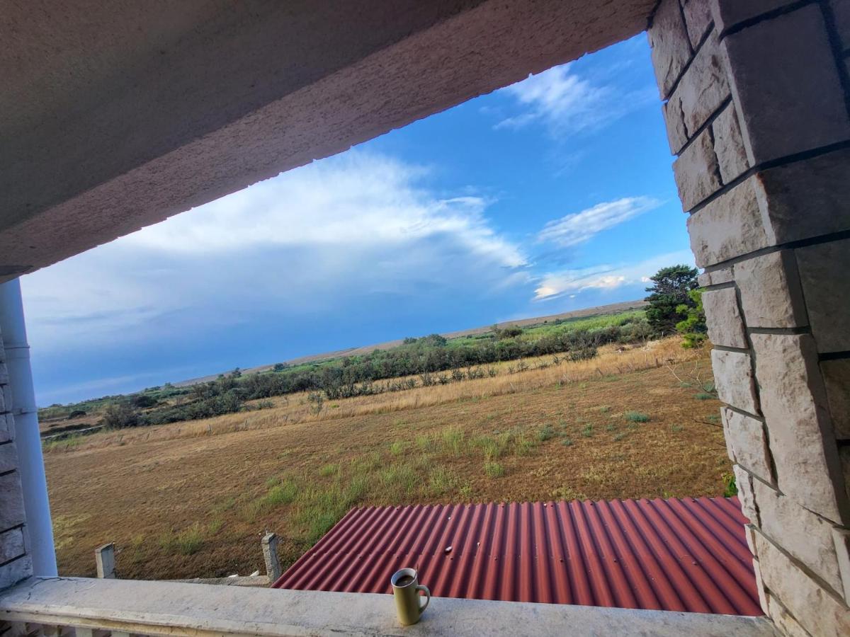Apartments Ćurić - B&B