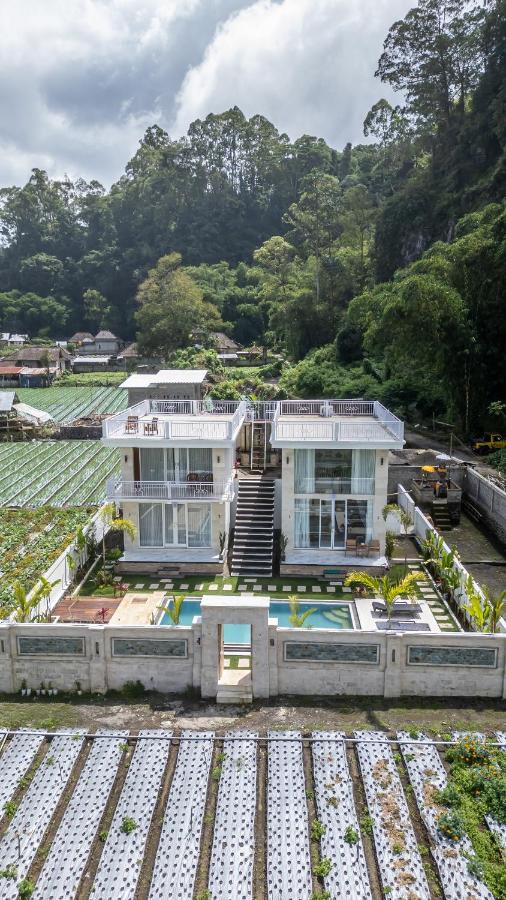 Hayana Villa Kintamani - B&B