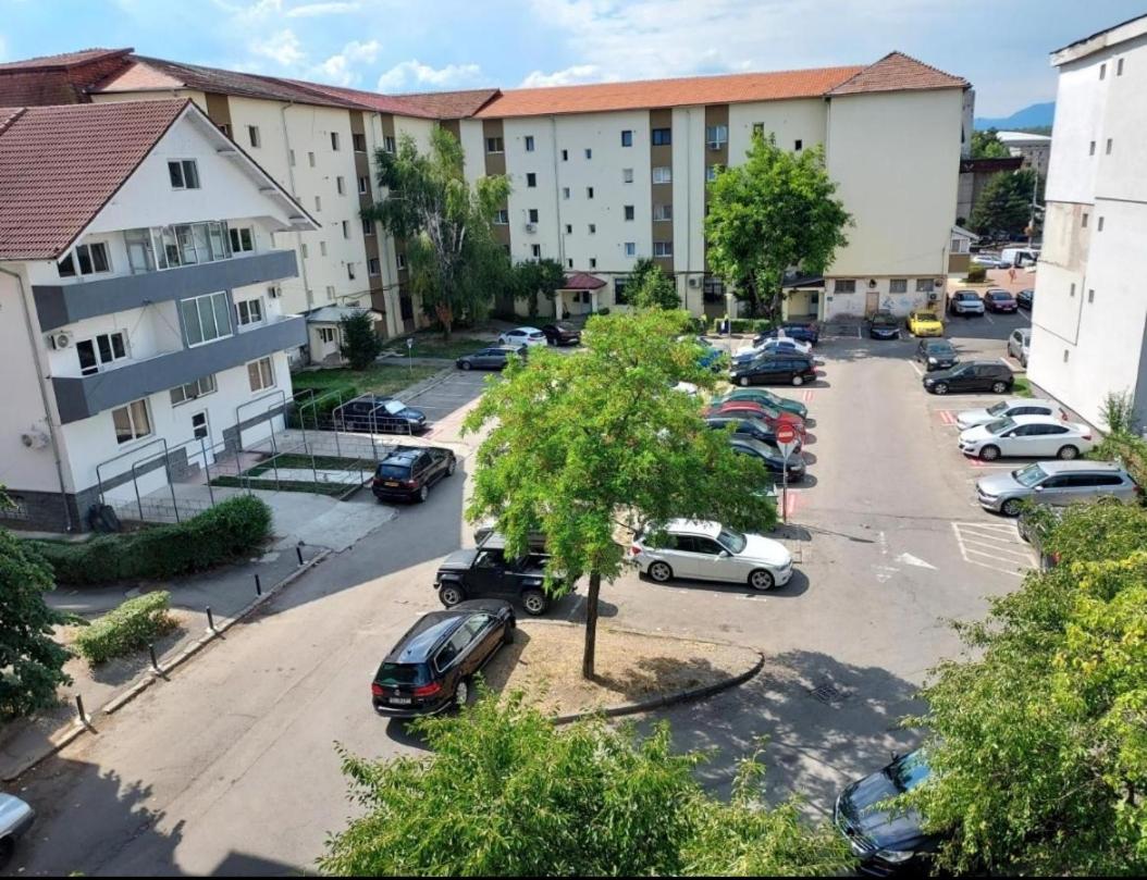 Vintage Central Apartament - B&B