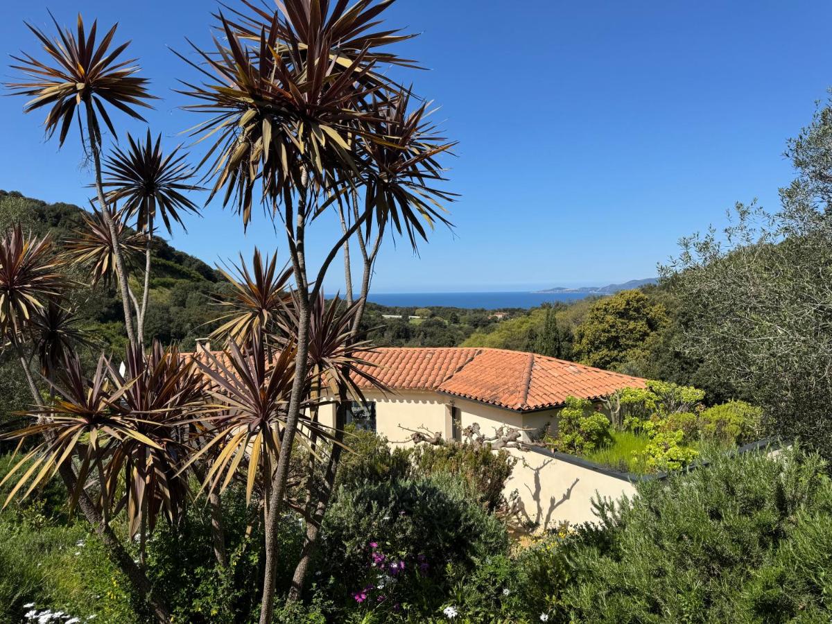 Le Ruone - B&B Calcatoggio