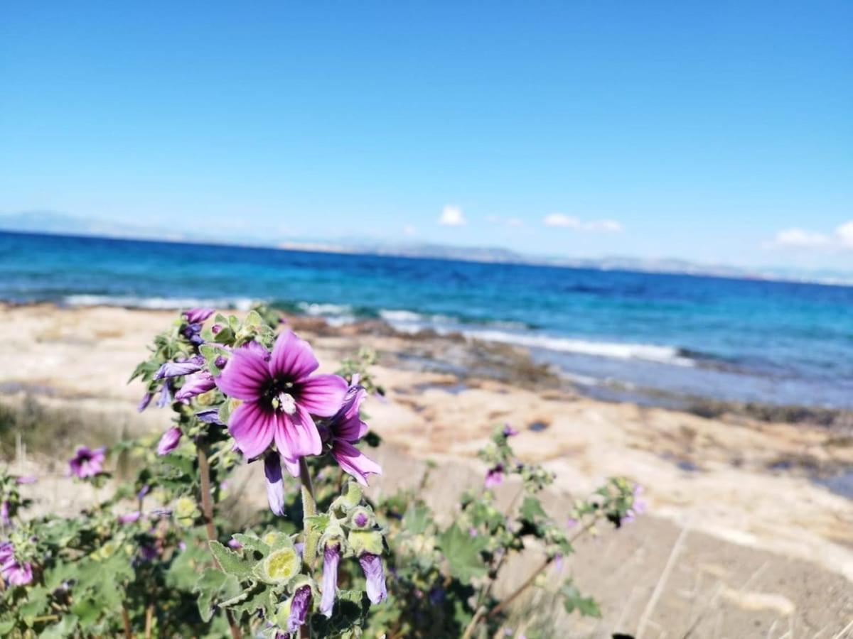 Vila with amazing view near the beach - Ferienwohnung Vathý