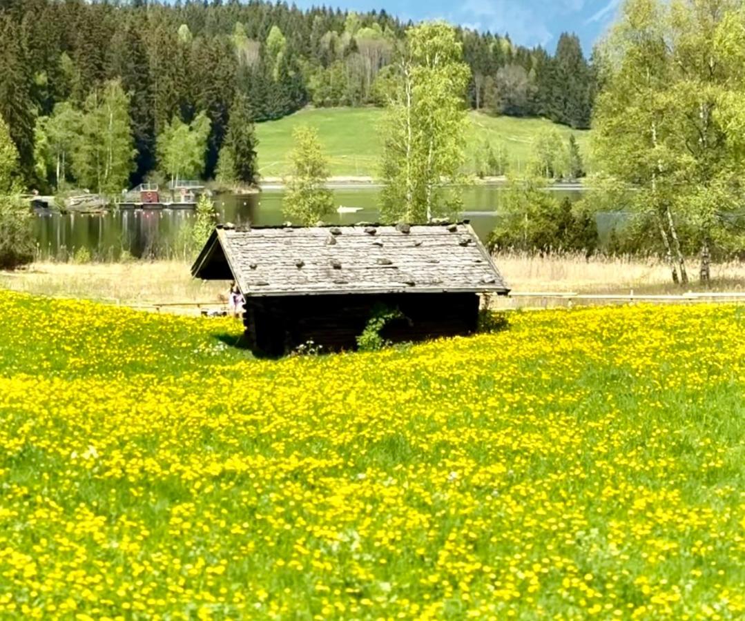 Alpine Haven, Kitzbühel ALPS - Ferienwohnung St. Johann in Tirol