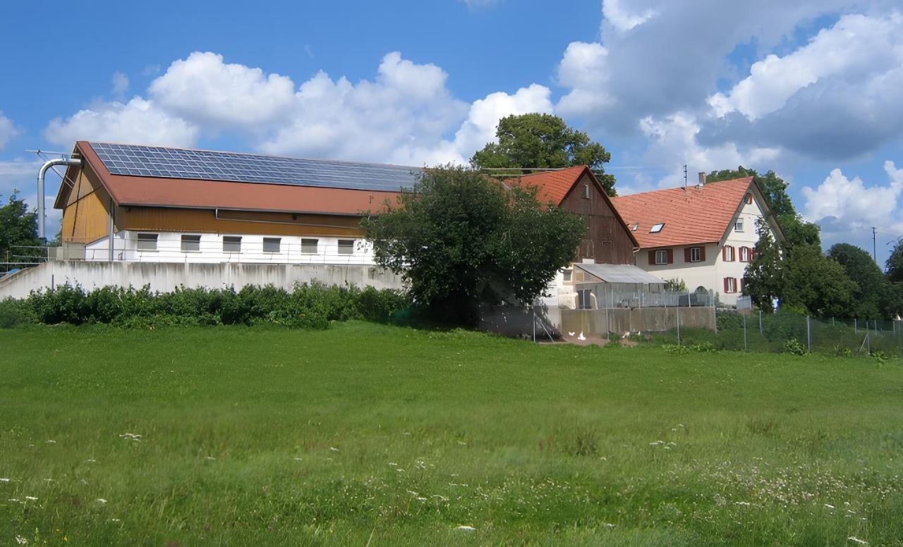 Ferienhof Roller - Ferienwohnung