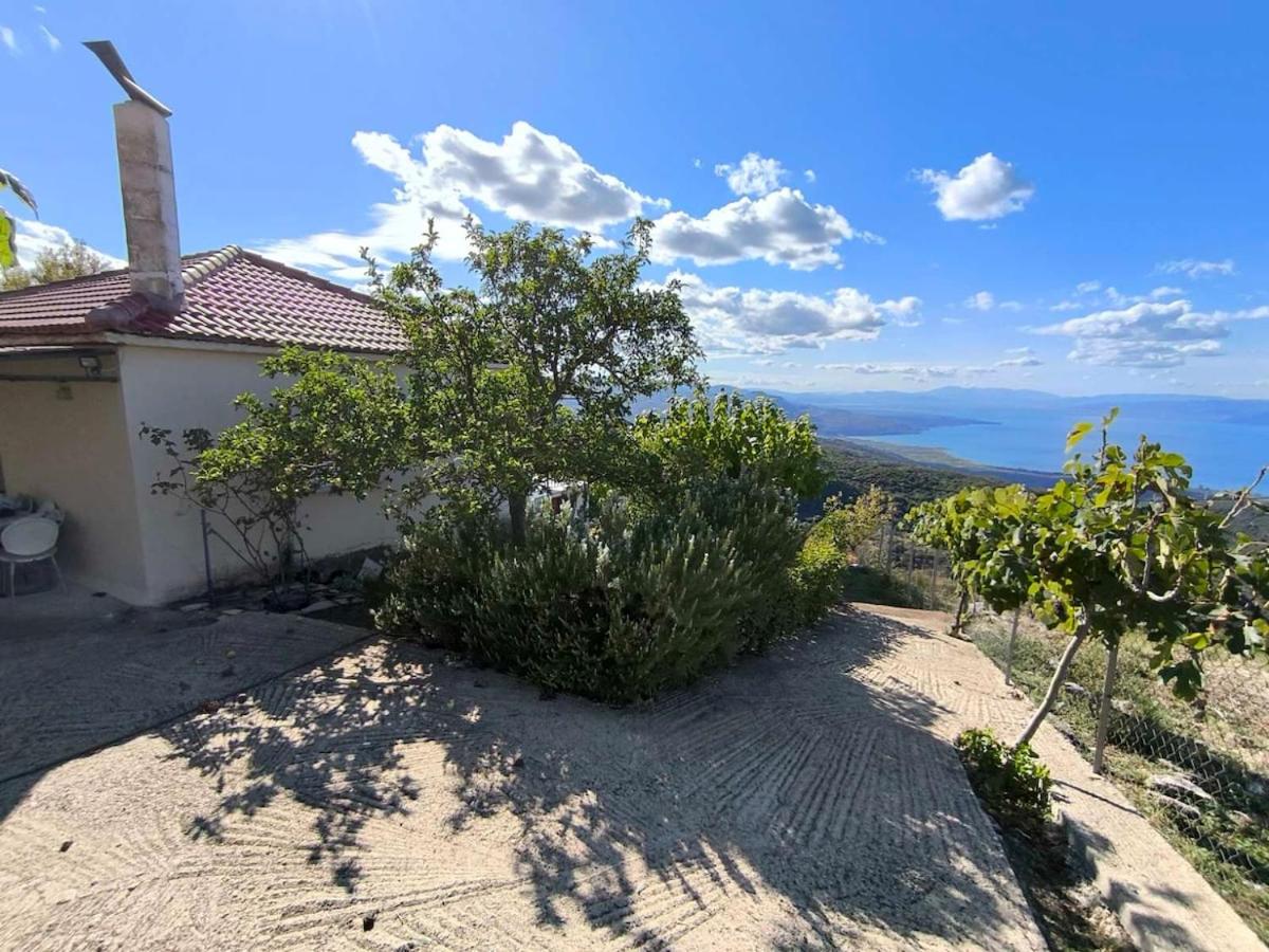Cuckoo's view - B&B
