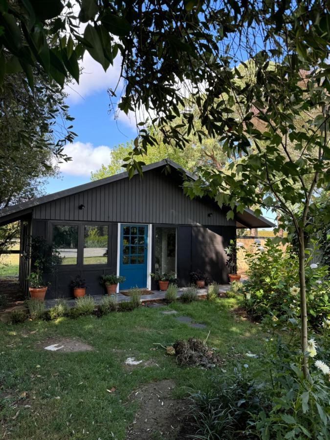 Five Paddocks Blue Cottage Private 5mins to SH1 - Chambres d’hôtes Tamahere