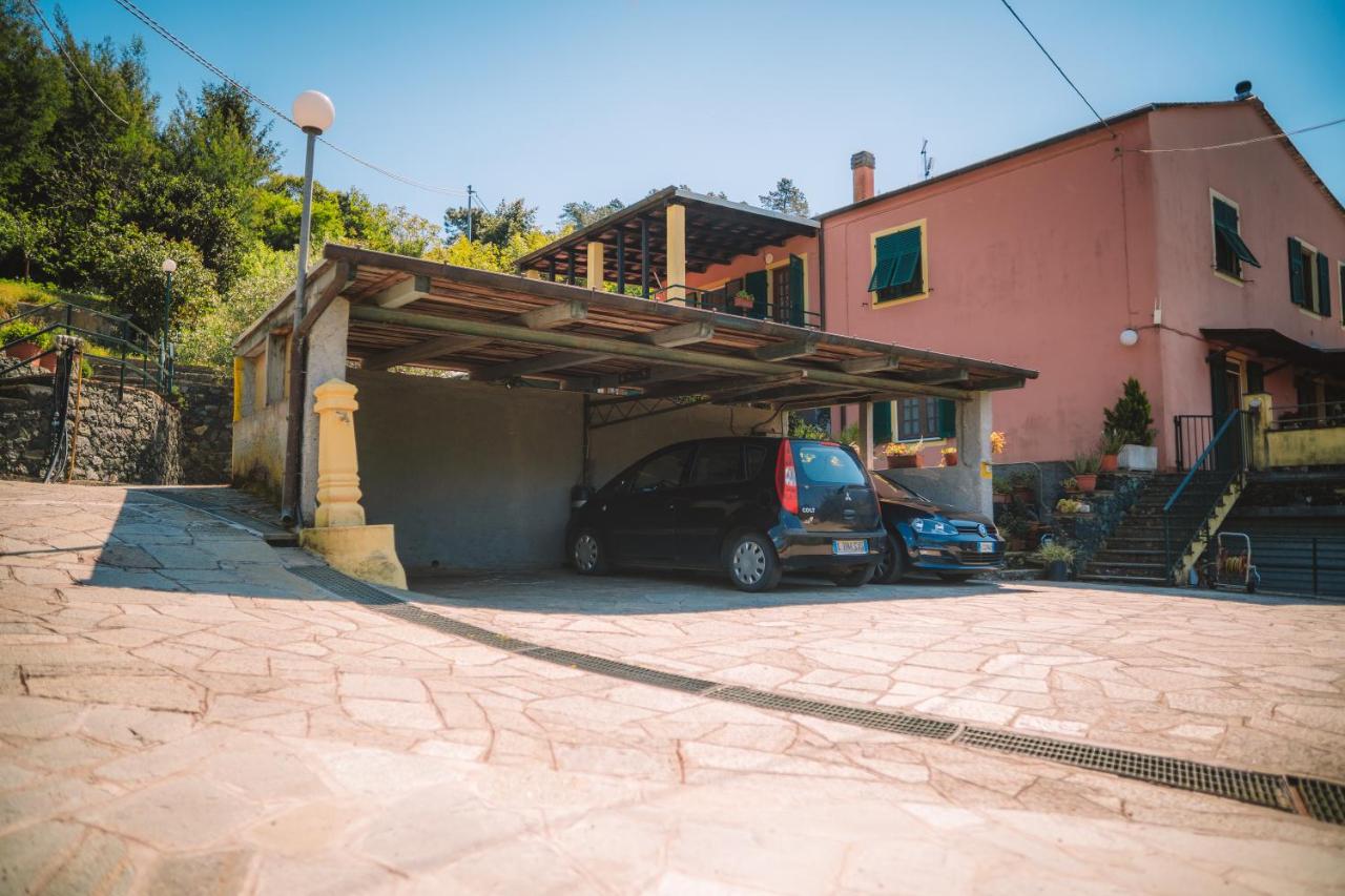 Studio mit Gartenblick