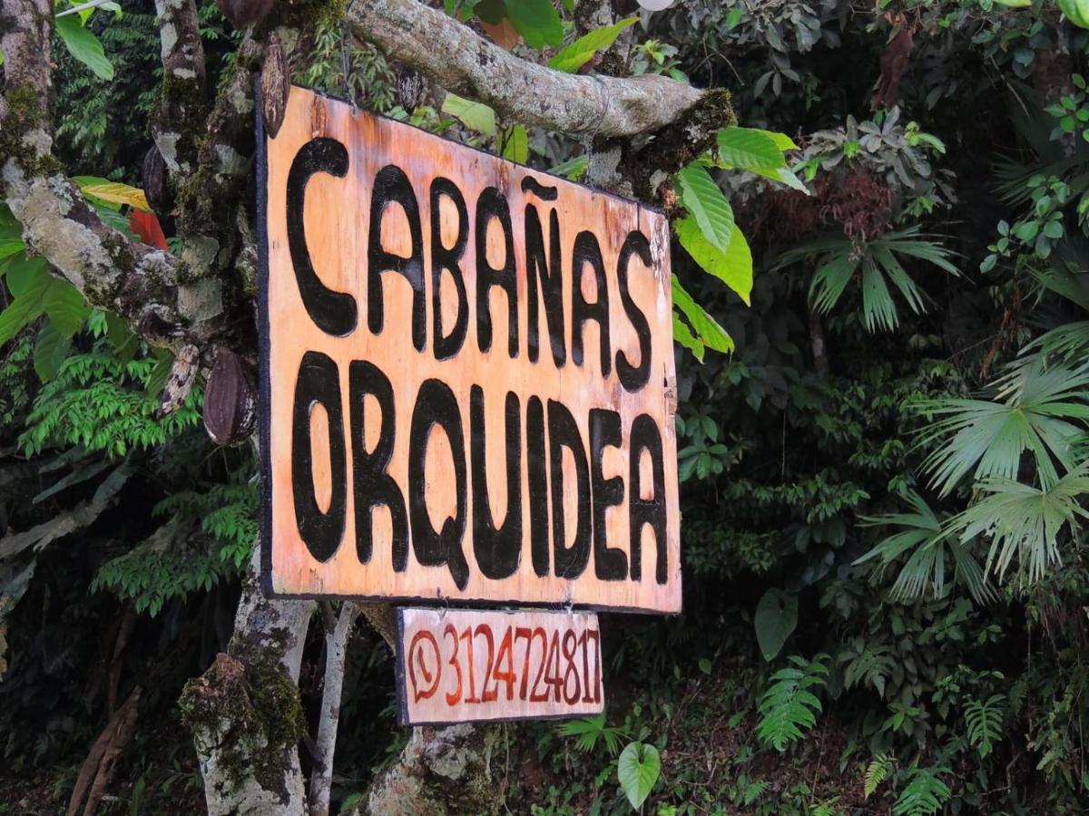 Cabañas orquídea - B&B
