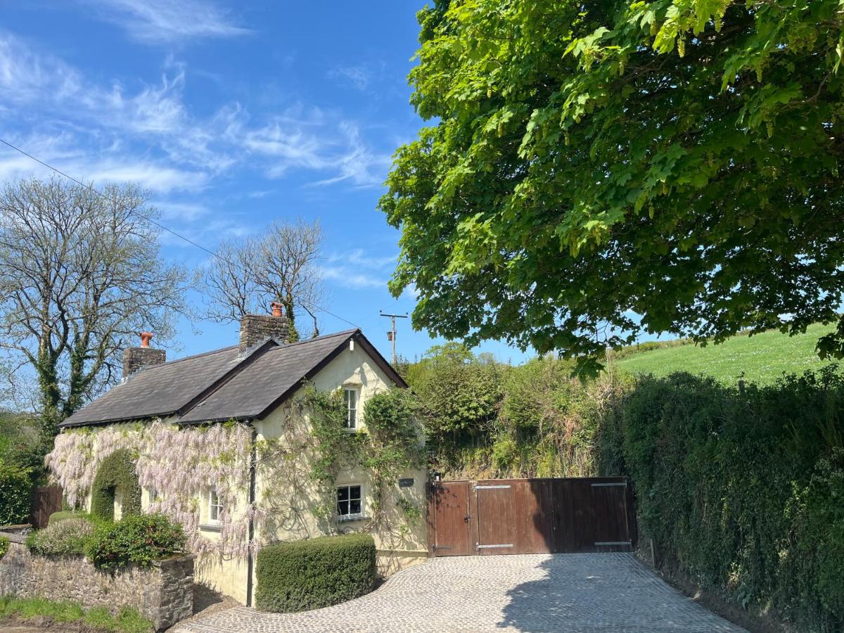 Penrhiw Cottage - Ferienwohnung