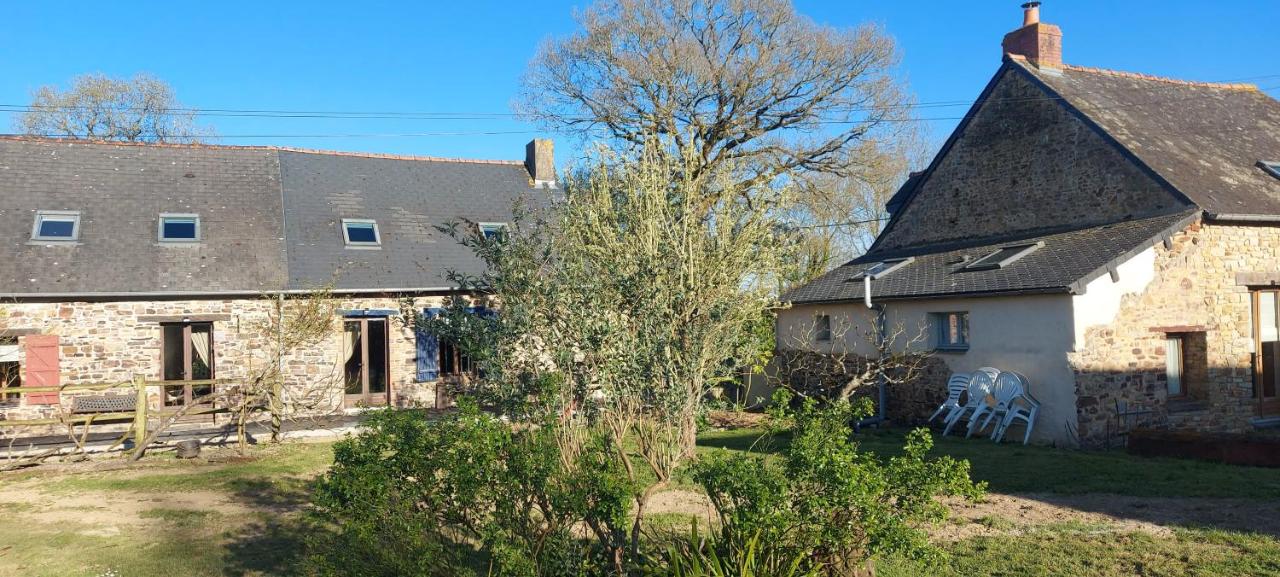 Les Gîtes de la Cour au Mercier - B&B