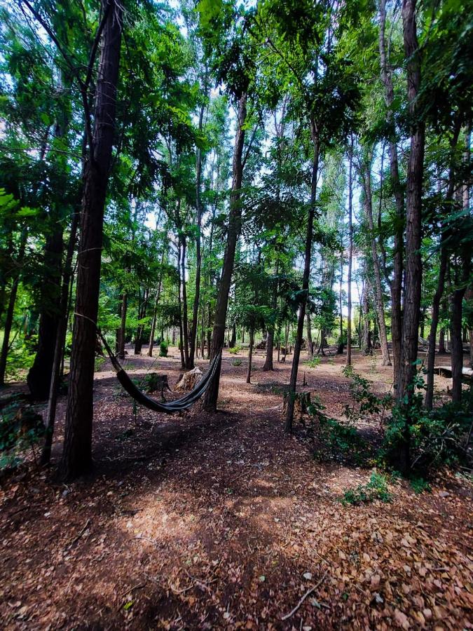 Double or Twin Room with Swimming Pool Access