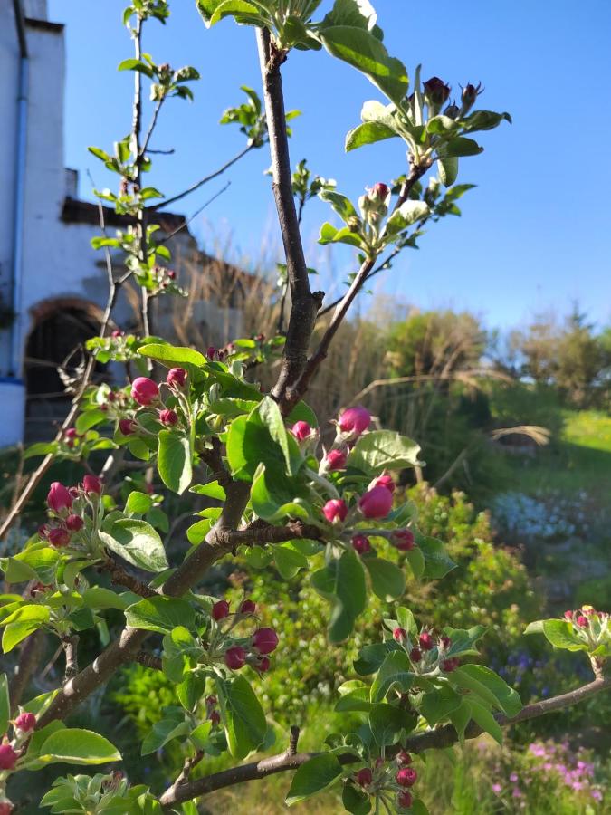Apartmán Kristian - B&B Ktiš