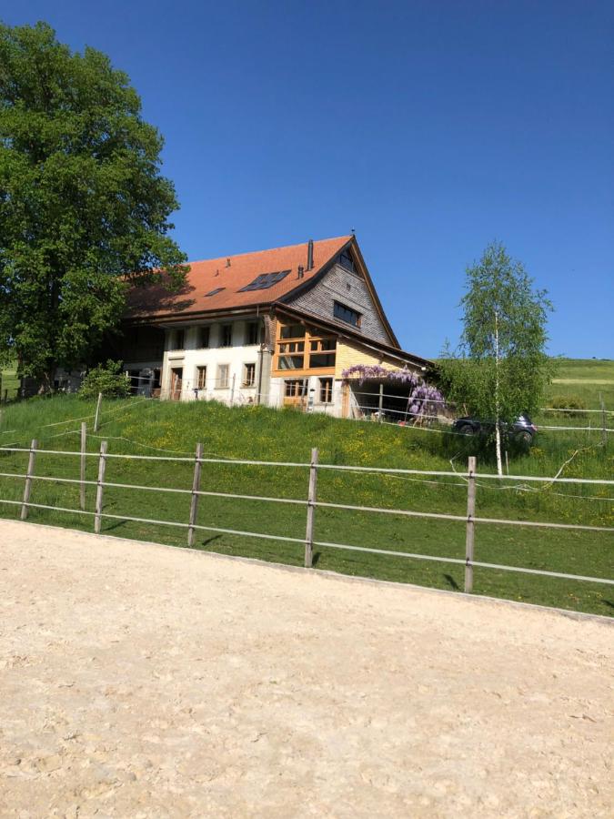 Sérénité et Nature dans une ferme équestre - loft lumineux de 140m2 - B&B Massonnens