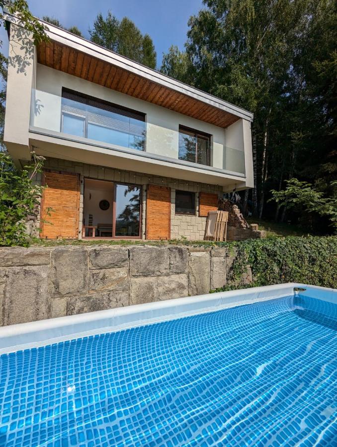 Modernistyczna willa poety i aktorki, z widokiem na jezioro i góry oraz prywatnym basenem, sauną, kominkiem, lasem i ogrodem - Chambres d'hôtes Rożnów