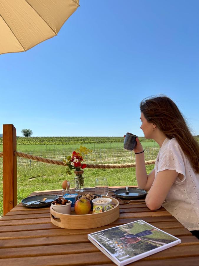 La Tiny House des Vignes du Château de Vauclaire - B&B