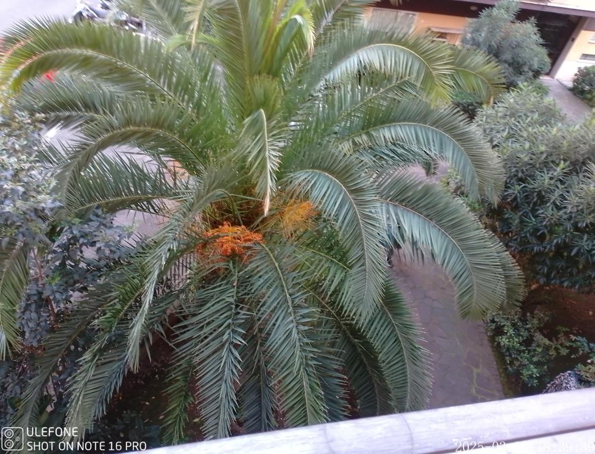 CASA D ARTE MARY 3 camere da letto 2 bagni salotto - B&B Roma