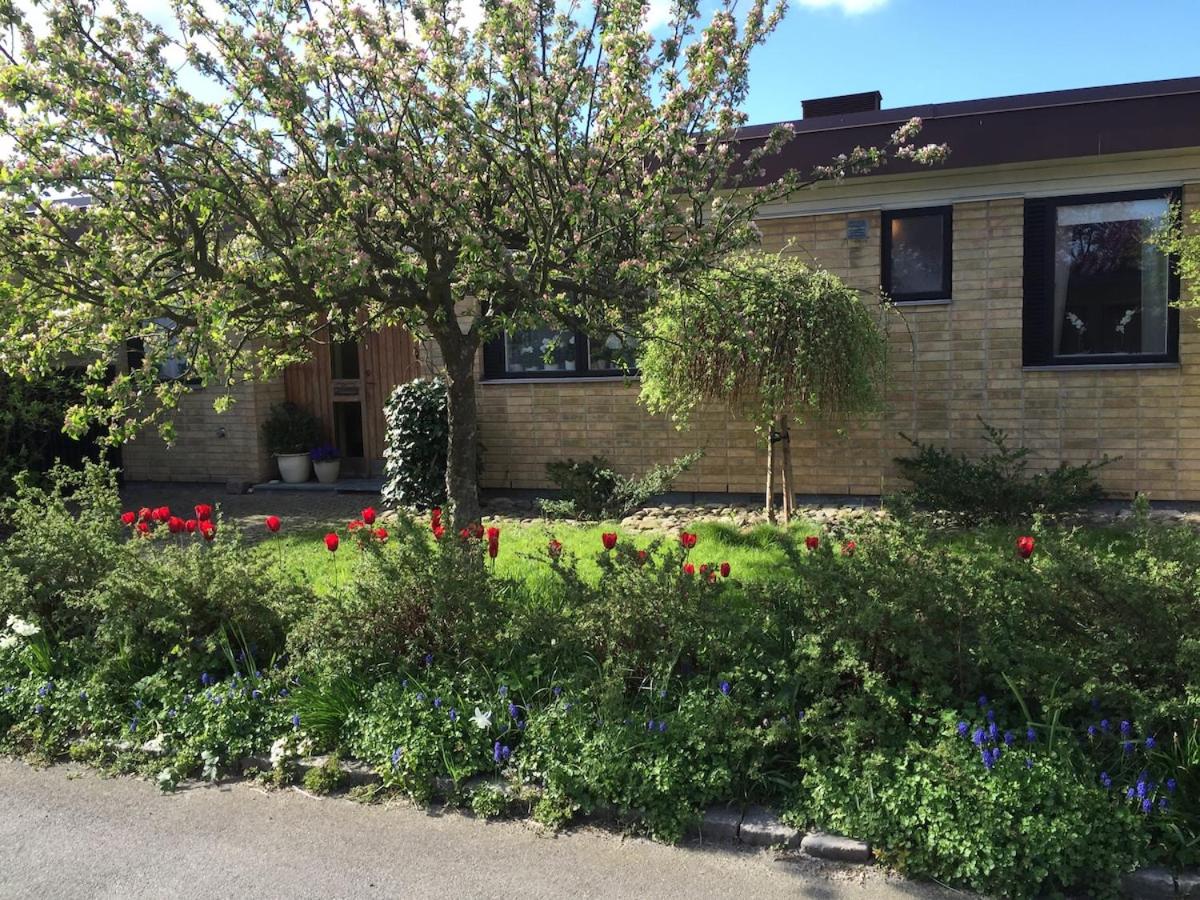 Fantastic house with a cute garden! - B&B Malmo